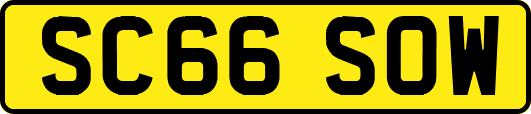 SC66SOW