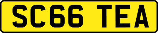 SC66TEA