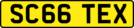 SC66TEX