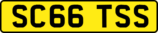 SC66TSS
