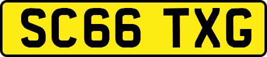 SC66TXG