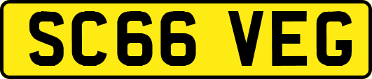 SC66VEG