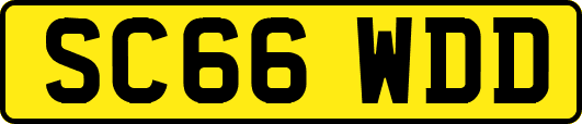 SC66WDD