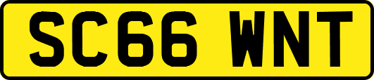 SC66WNT