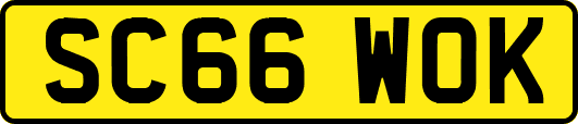 SC66WOK