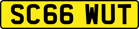 SC66WUT