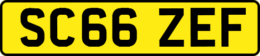 SC66ZEF