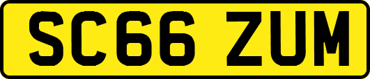 SC66ZUM