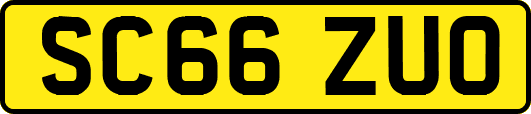 SC66ZUO