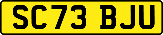 SC73BJU