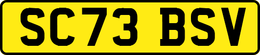 SC73BSV
