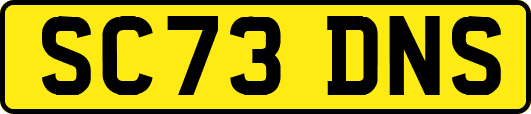 SC73DNS