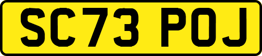 SC73POJ