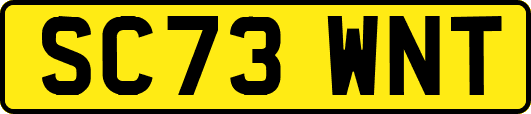 SC73WNT