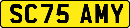 SC75AMY