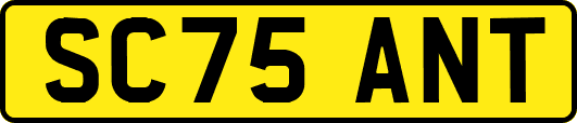 SC75ANT