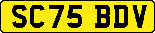 SC75BDV