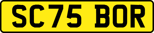 SC75BOR
