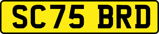 SC75BRD