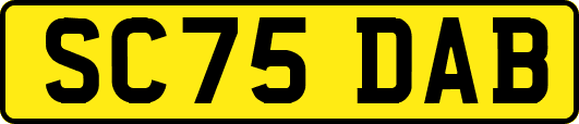 SC75DAB