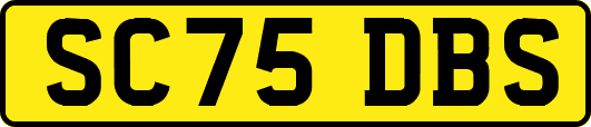 SC75DBS