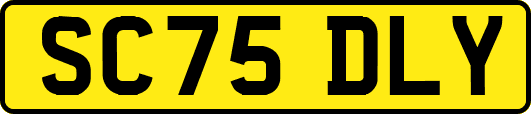 SC75DLY