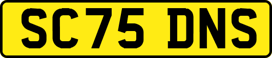 SC75DNS