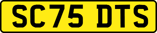 SC75DTS