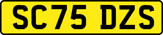 SC75DZS