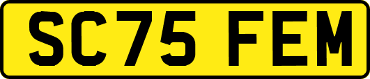 SC75FEM