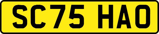 SC75HAO