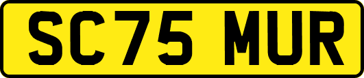 SC75MUR