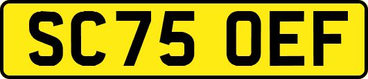 SC75OEF