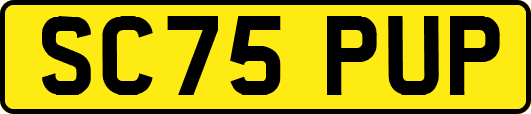 SC75PUP