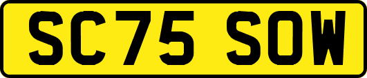 SC75SOW