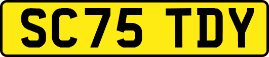 SC75TDY