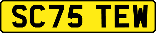 SC75TEW