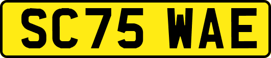 SC75WAE