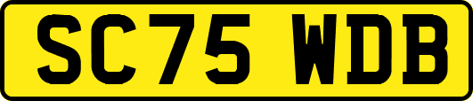 SC75WDB