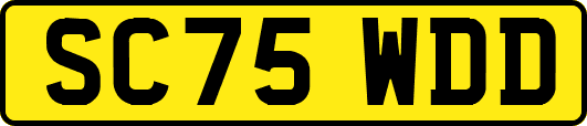 SC75WDD