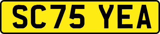 SC75YEA
