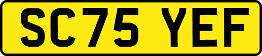 SC75YEF