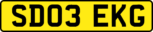 SD03EKG