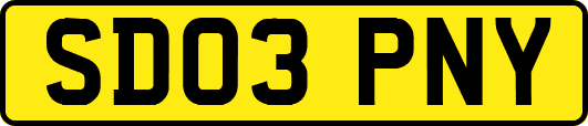 SD03PNY