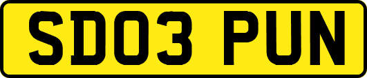 SD03PUN
