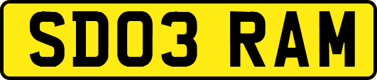 SD03RAM