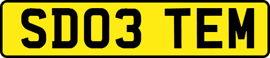 SD03TEM