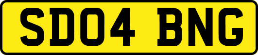SD04BNG