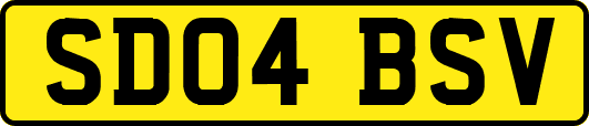 SD04BSV