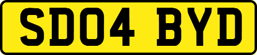 SD04BYD